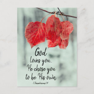 Carte Postale 1 Thessaloniciens 1:4 Dieu t'aime... Il t'a choisi