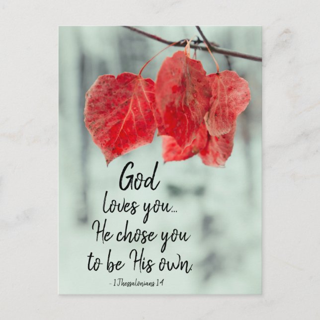 Carte Postale 1 Thessaloniciens 1:4 Dieu t'aime... Il t'a choisi (Devant)