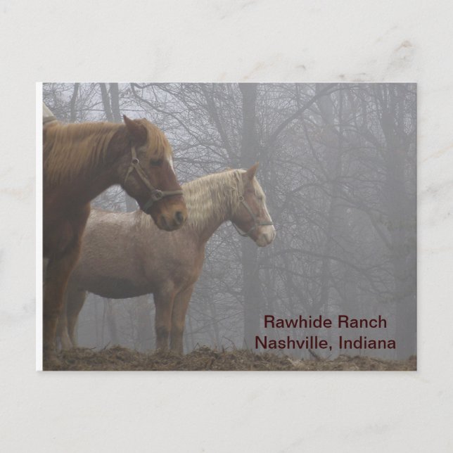 Carte Postale 20071221_0021_r1, Rawhide RanchNashville, Indiana (Devant)