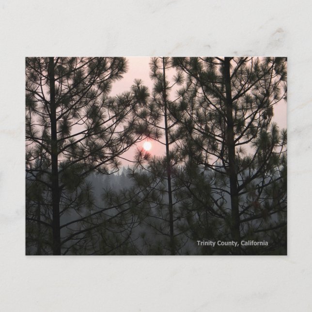 Carte Postale 2018 Carr Fire Sunrise... (Devant)