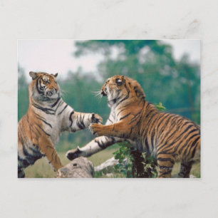 CARTE POSTALE 23899157