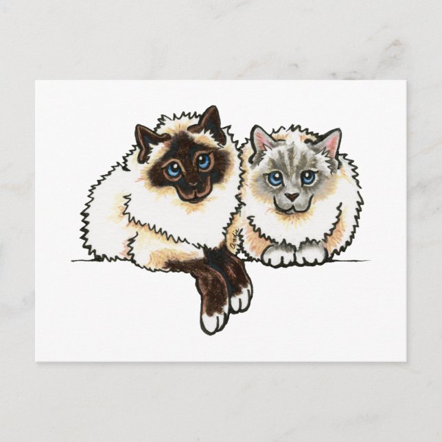 Carte Postale 2 Birman (Devant)