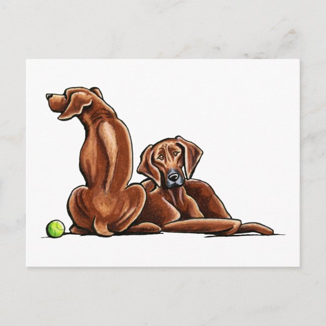 Carte Postale 2 Rhodesian Ridgebacks (Devant)