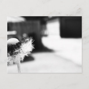 Carte Postale 2 souhaits