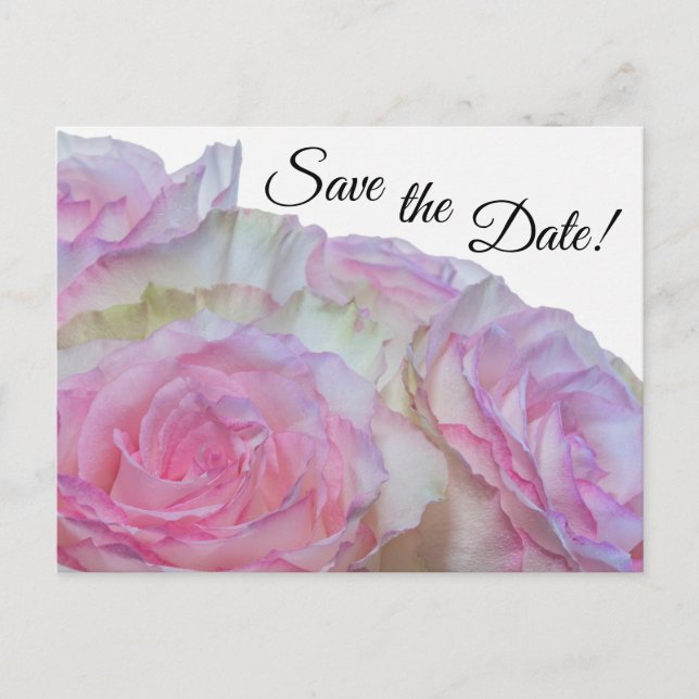 Carte Postale 3998-Roses blanches et roses (Devant)