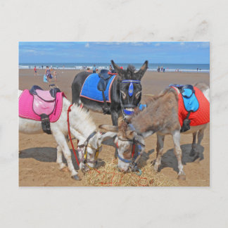Carte Postale 3 ânes