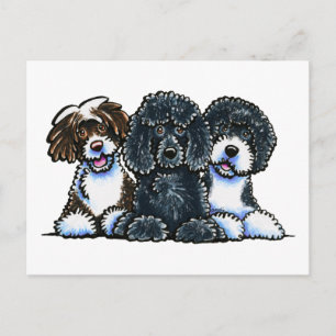 Carte Postale 3 Chiens d'eau portugais