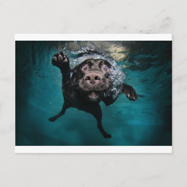 Carte Postale 3.jpeg (Devant)