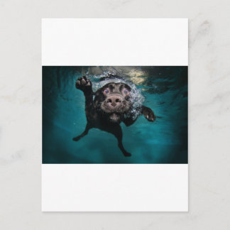 Carte Postale 3.jpeg