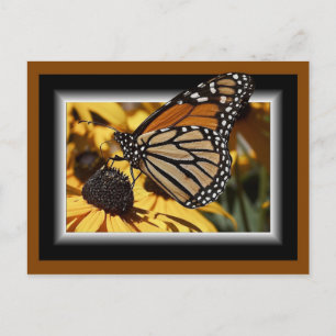 CARTE POSTALE 3D BUTTERFLY