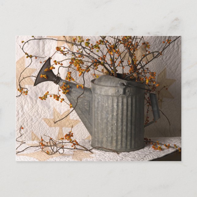 Carte Postale 4626 Bittersweet en Watering Can Postcard (Devant)