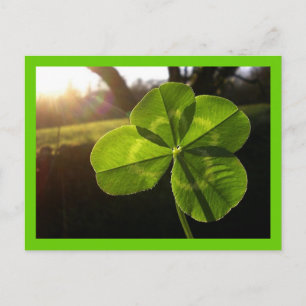 Carte postale 4 feuilles