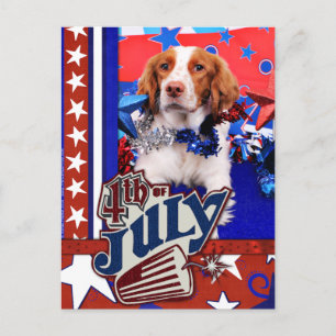Carte Postale 4 juillet - Brittany Spaniel - Charlie