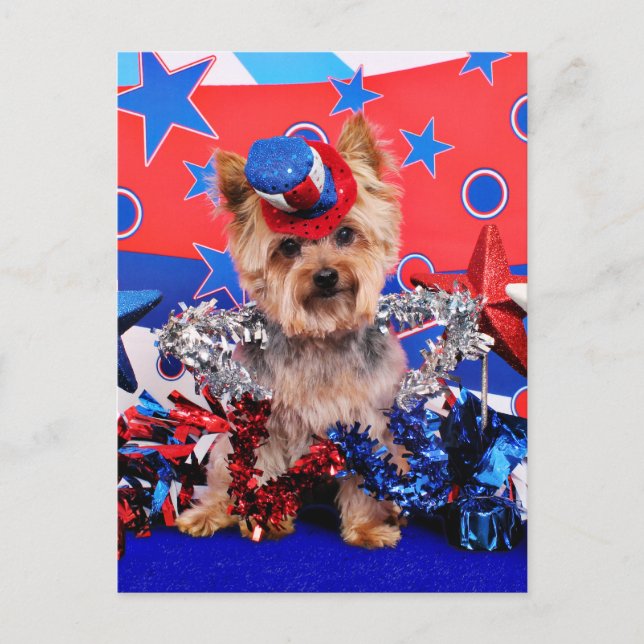 Carte Postale 4 juillet - Yorkie - Vinnie (Devant)