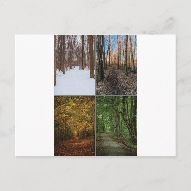 Carte Postale 4 Saisons dans la Grove Sacrée (Devant)