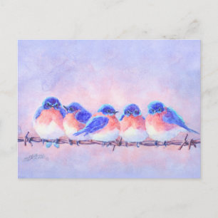 Carte Postale 5 BLUEBIRS sur fil par SHARON SHARPE
