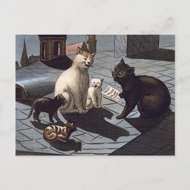 Carte Postale 5 Chats avec feuille de musique chantant sur un to (Devant)
