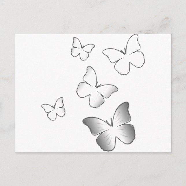 Carte Postale 5 papillons blancs (Devant)