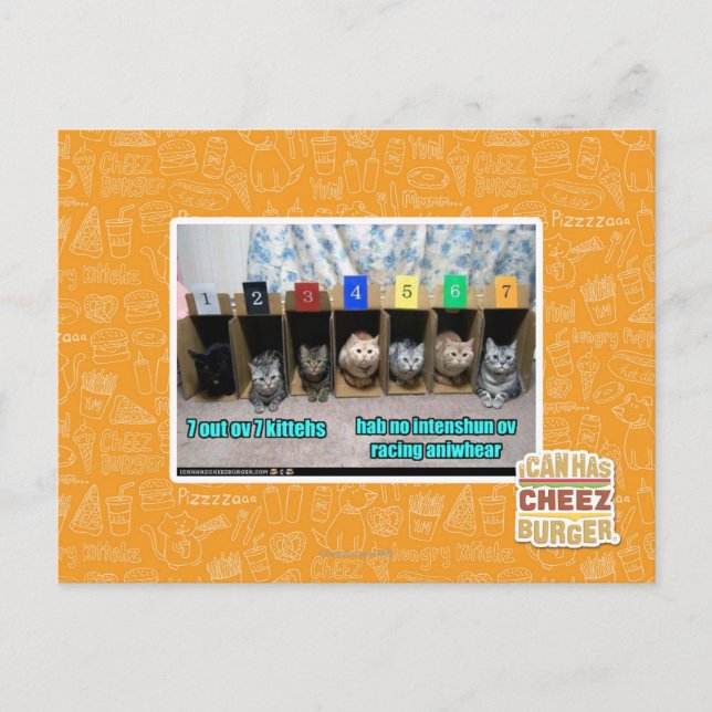 Carte Postale 7 kittehs d'OV 7 (Devant)