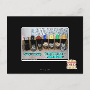 Carte Postale 7 out ov 7 kittehs