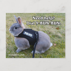 Carte postale 9 Bun Bun