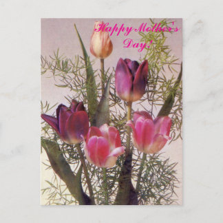 Carte Postale A bouquet of pink tulips in various shades,Happy M