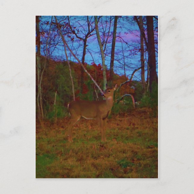 Carte Postale A Deer : Gold Red Green et Blue (Devant)