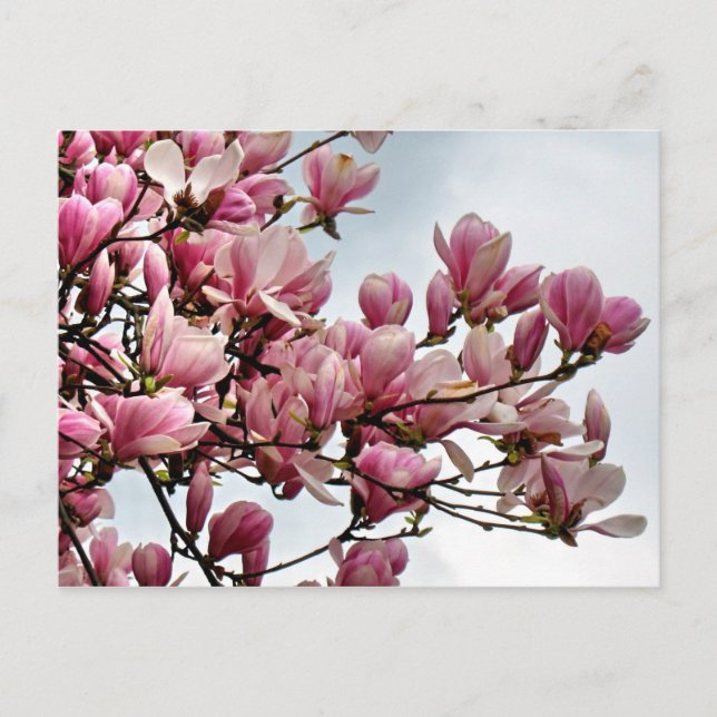 Carte postale à fleurs 79 (Devant)