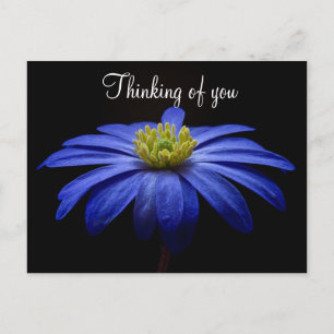Carte postale à fleurs bleues