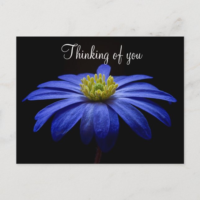 Carte postale à fleurs bleues (Devant)