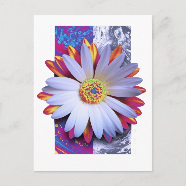 Carte postale à fleurs holographiques (Devant)