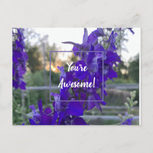Carte postale à fleurs violettes