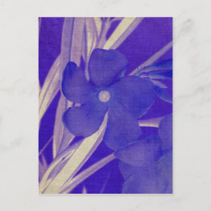 Carte postale à fleurs violettes