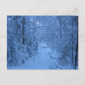 Carte Postale A Forest en hiver