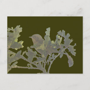 Carte postale à gorge jaune commune