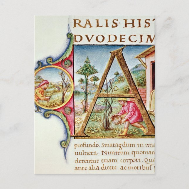 Carte Postale 'A' initial historique représentant (Devant)