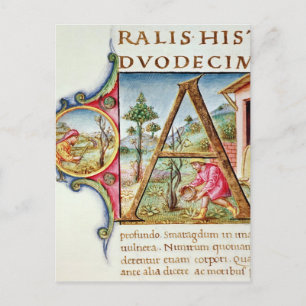 Carte Postale 'A' initial historique représentant