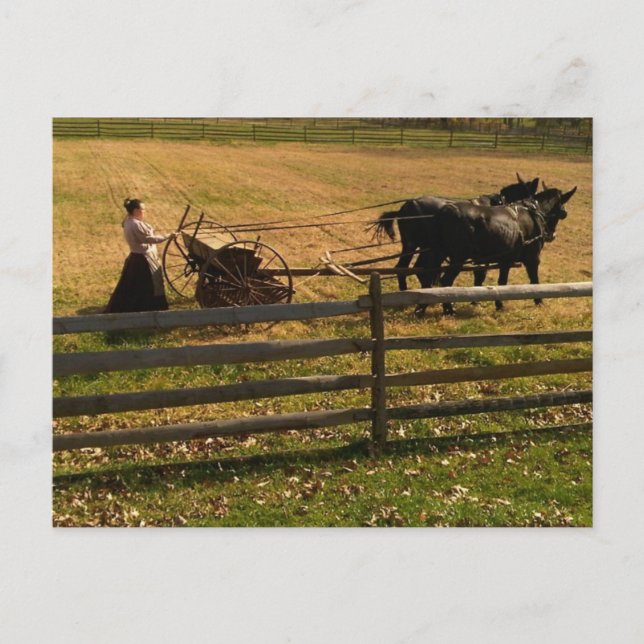 Carte Postale À la ferme (Devant)