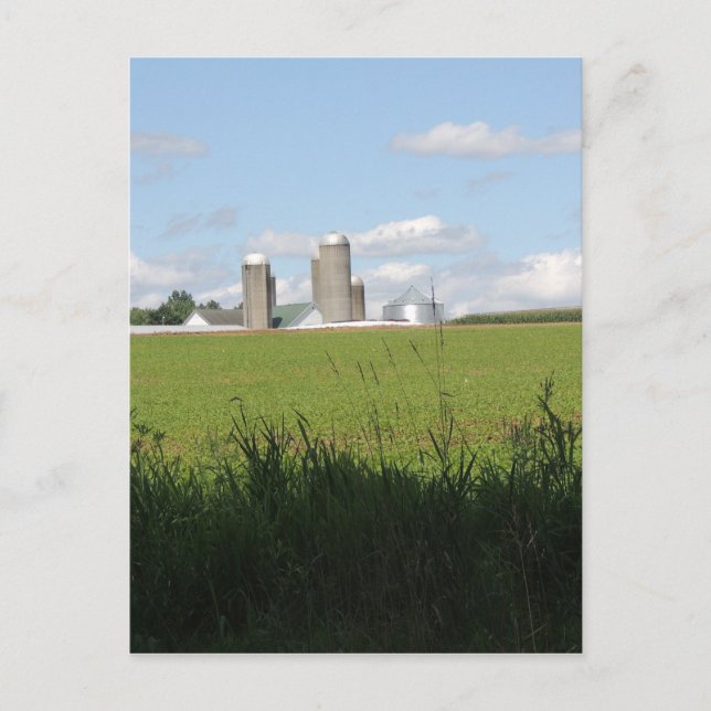Carte Postale À la ferme (Devant)
