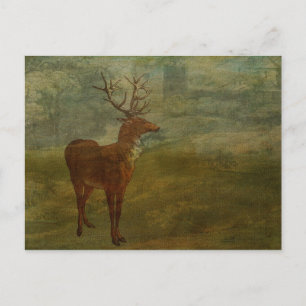 Carte Postale A la recherche de Landseer