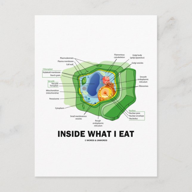 Carte Postale À l'intérieur de ce que je mange (l'humour (Devant)