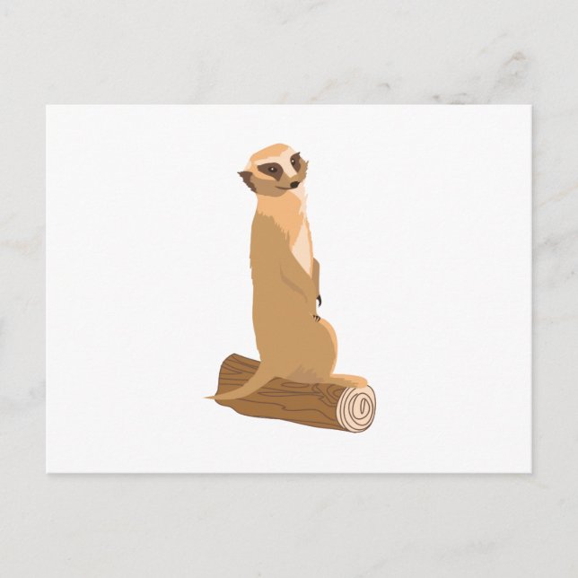 Carte Postale A Meerkat (Devant)