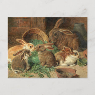 Carte Postale A Mother Rabbit and her Young par Alfred Barber