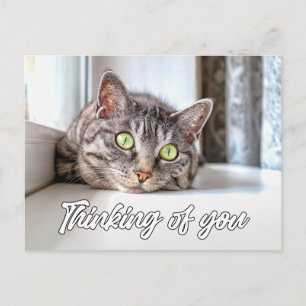 Carte Postale À penser à vous - Adorable chaton