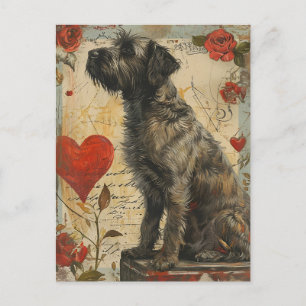 Carte Postale À poils durs pointant griffon Saint Valentin
