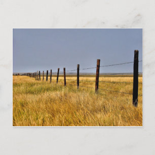 Carte Postale A Prairie Mile