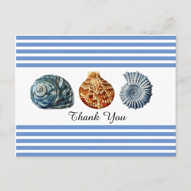 Carte postale à rayures bleues avec coquillages (Devant)