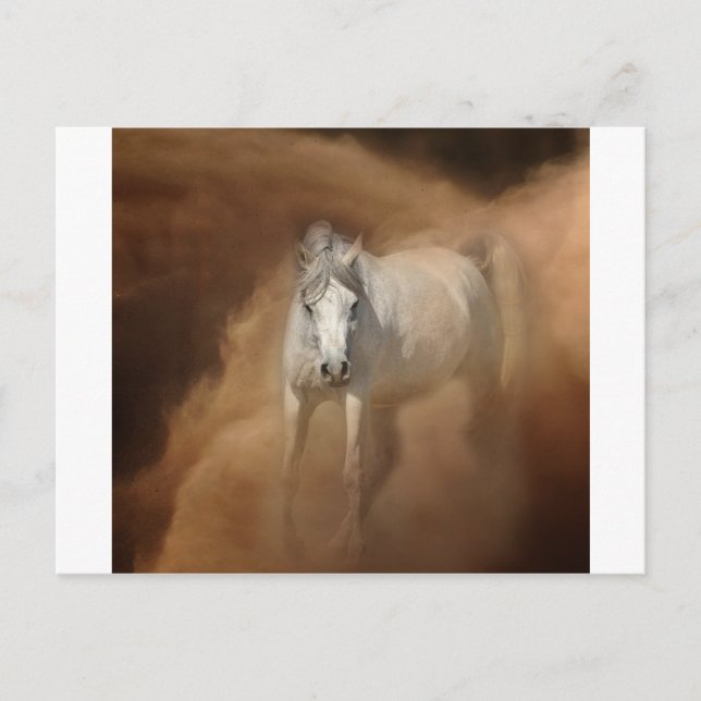 Carte Postale À travers la tempête de poussière (Devant)