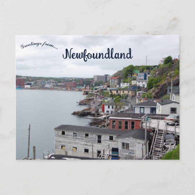 Carte Postale A View of St. John's Newfoundland Canada (Devant)