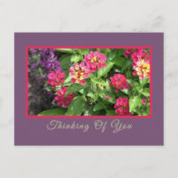 "À VOS PENSÉES" FLORAL/LANTANA